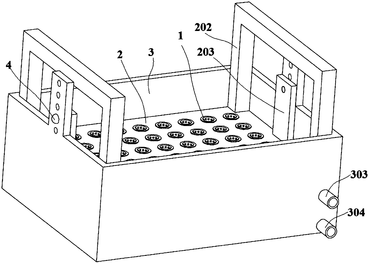 Culture device for rice seedlings