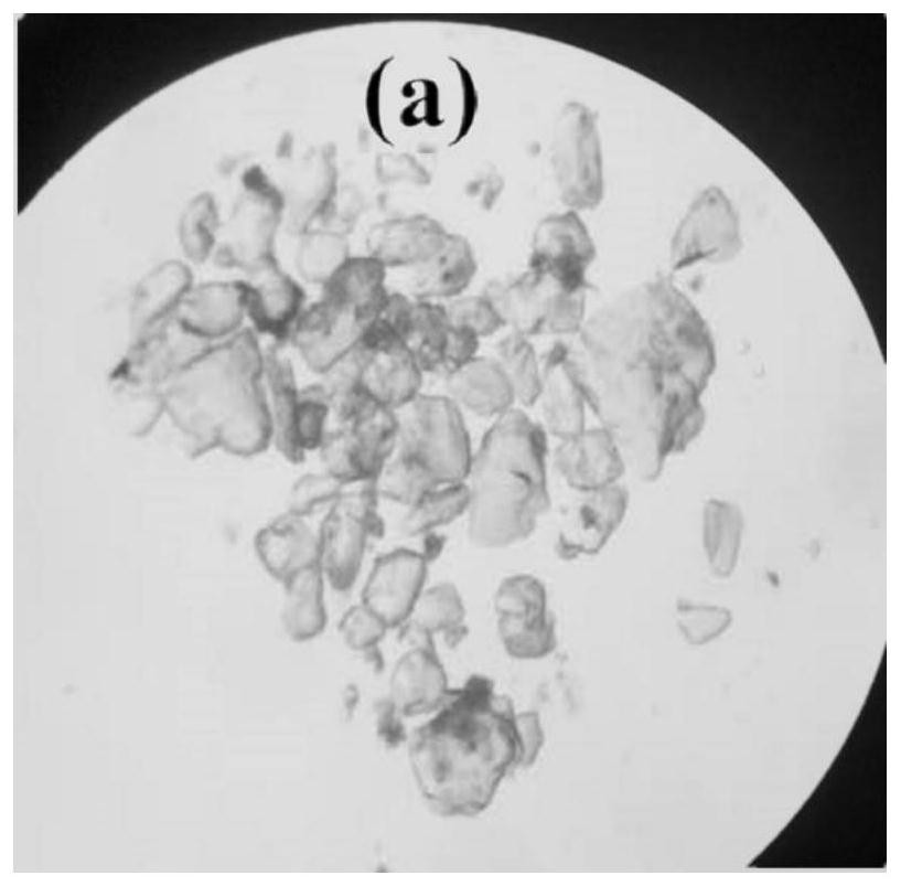 Mg-MOFs monocrystalline absorption material and preparation method and application thereof