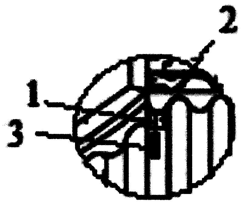 A lightning protection system for ancient buildings