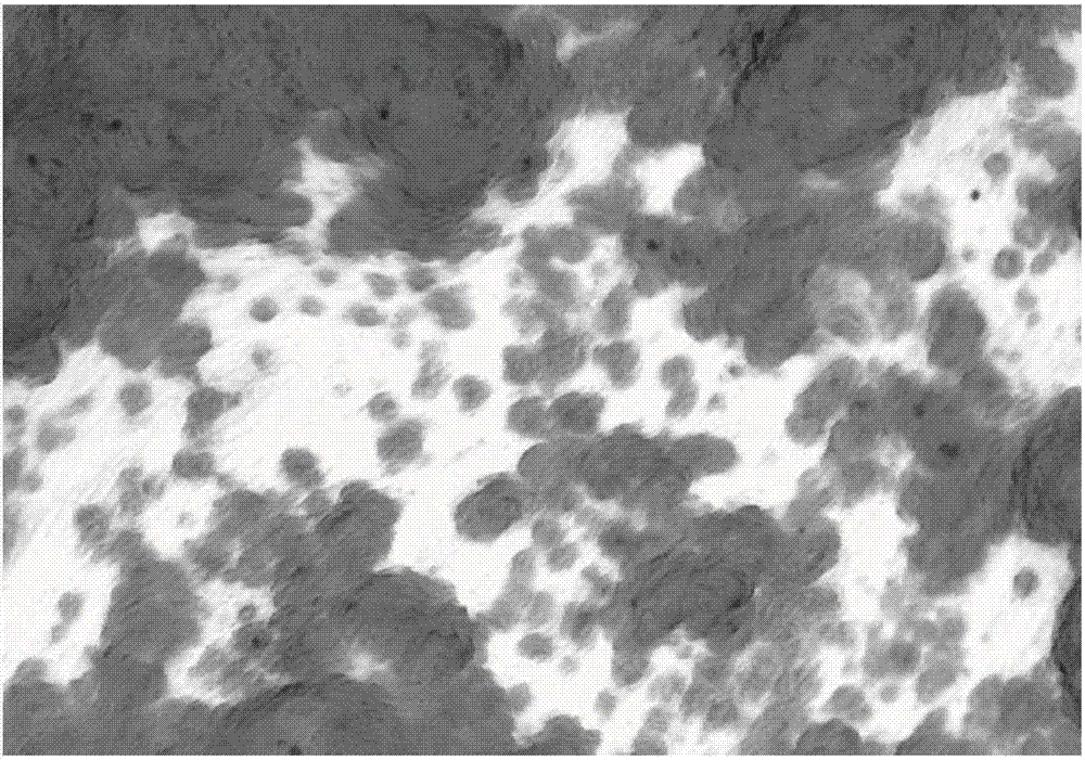 Amniotic mesenchymal stem cell culture medium and method for culturing amniotic mesenchymal stem cells