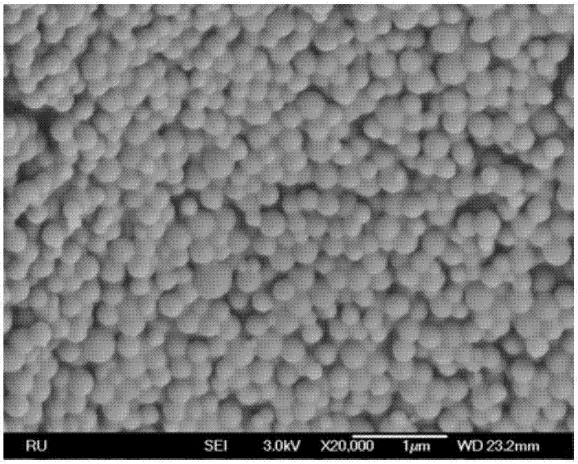 Preparation method of calcium phosphate/gelatin compound material nano particles and application thereof