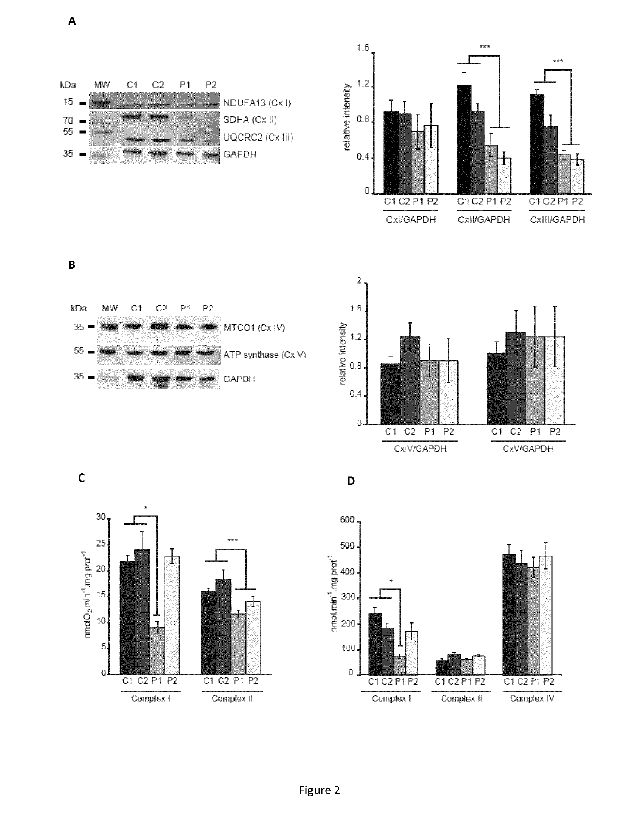 Targeting the neuronal calcium sensor 1 for treating wolfram syndrome