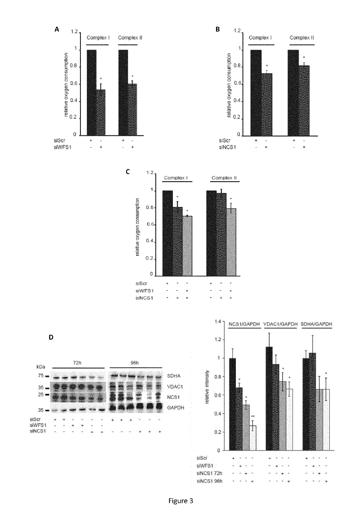 Targeting the neuronal calcium sensor 1 for treating wolfram syndrome