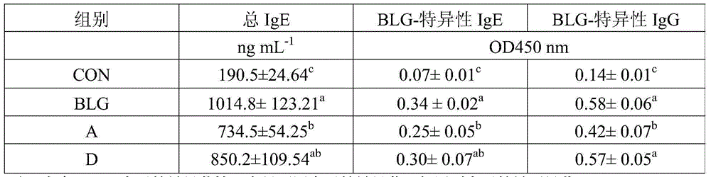 Application of lactobacillus paracasei having antiallergic effect, functional food composition and preparation method of functional food composition