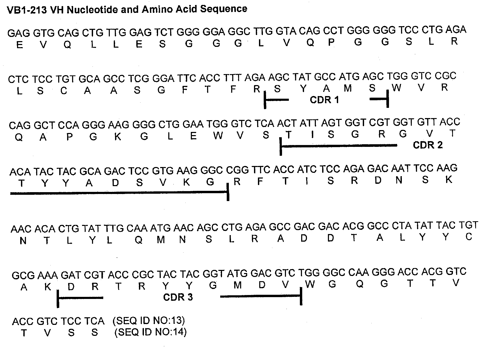 Antibodies Against a Cancer-Associated Epitope of Variant HNRNPG and Uses Thereof