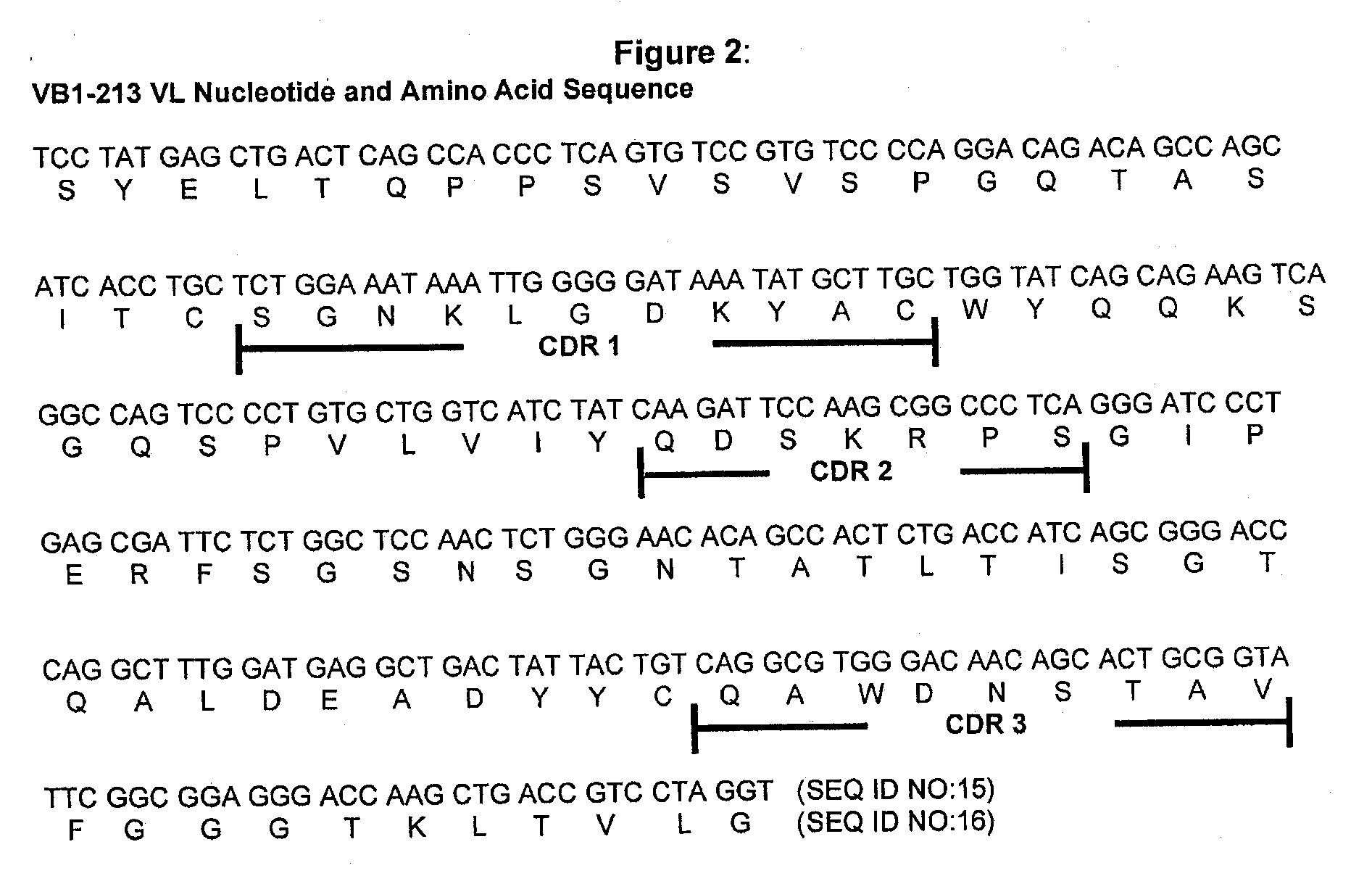 Antibodies Against a Cancer-Associated Epitope of Variant HNRNPG and Uses Thereof