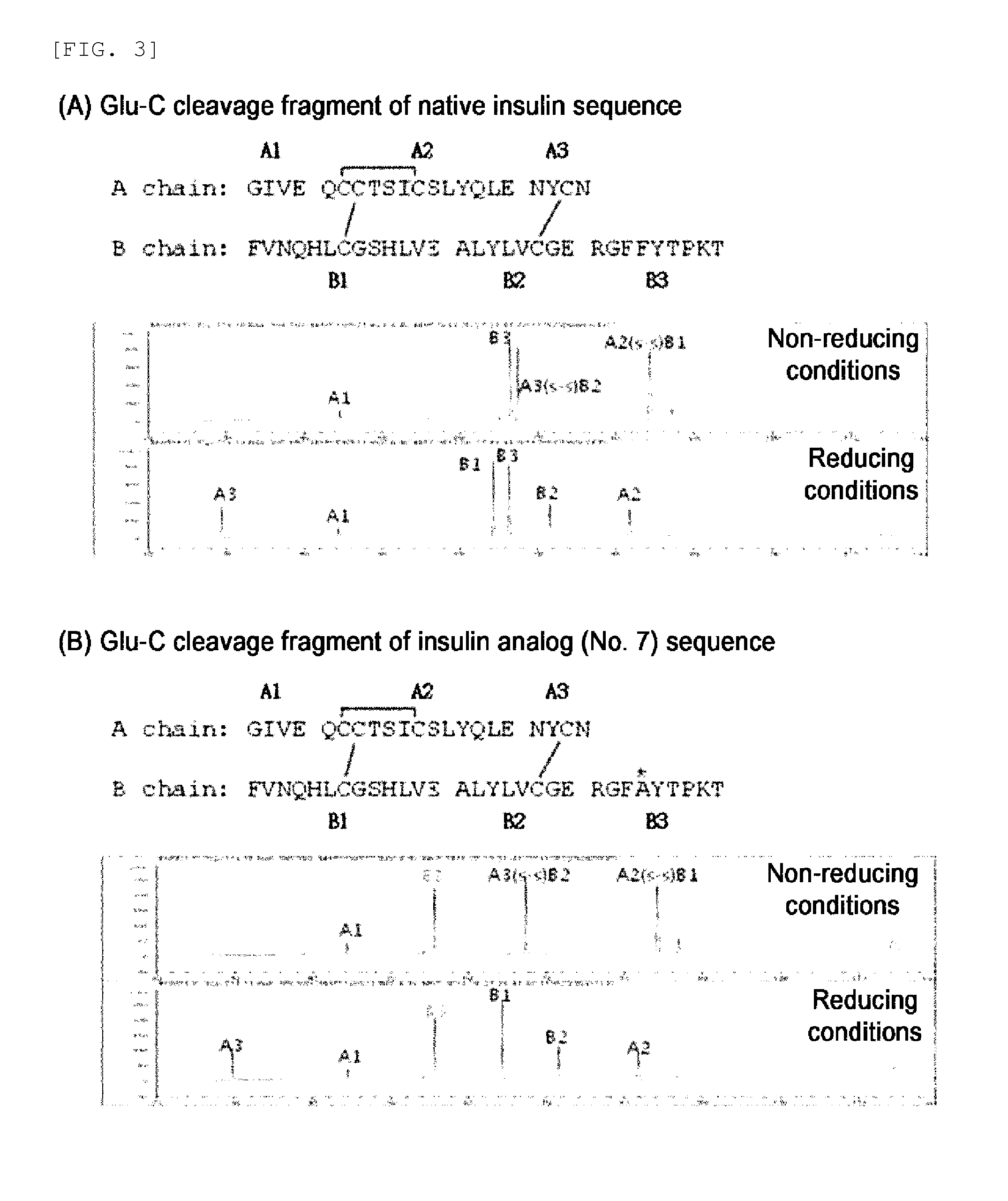 Novel insulin analog and use thereof