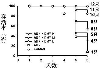 Application of dihydromyricetin in preparation of medicines for inhibiting adriamycin cardiotoxicity