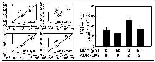 Application of dihydromyricetin in preparation of medicines for inhibiting adriamycin cardiotoxicity