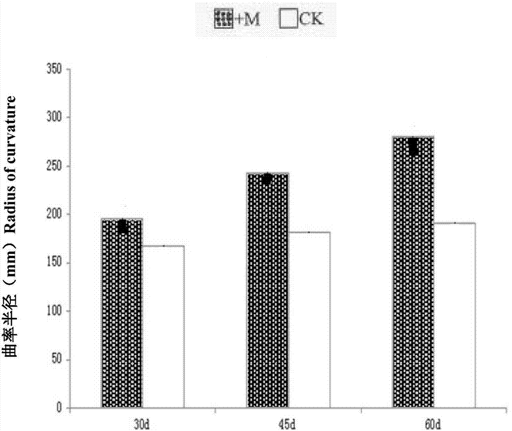 Method of measuring plant morphology by adopting three-dimensional laser scanner way