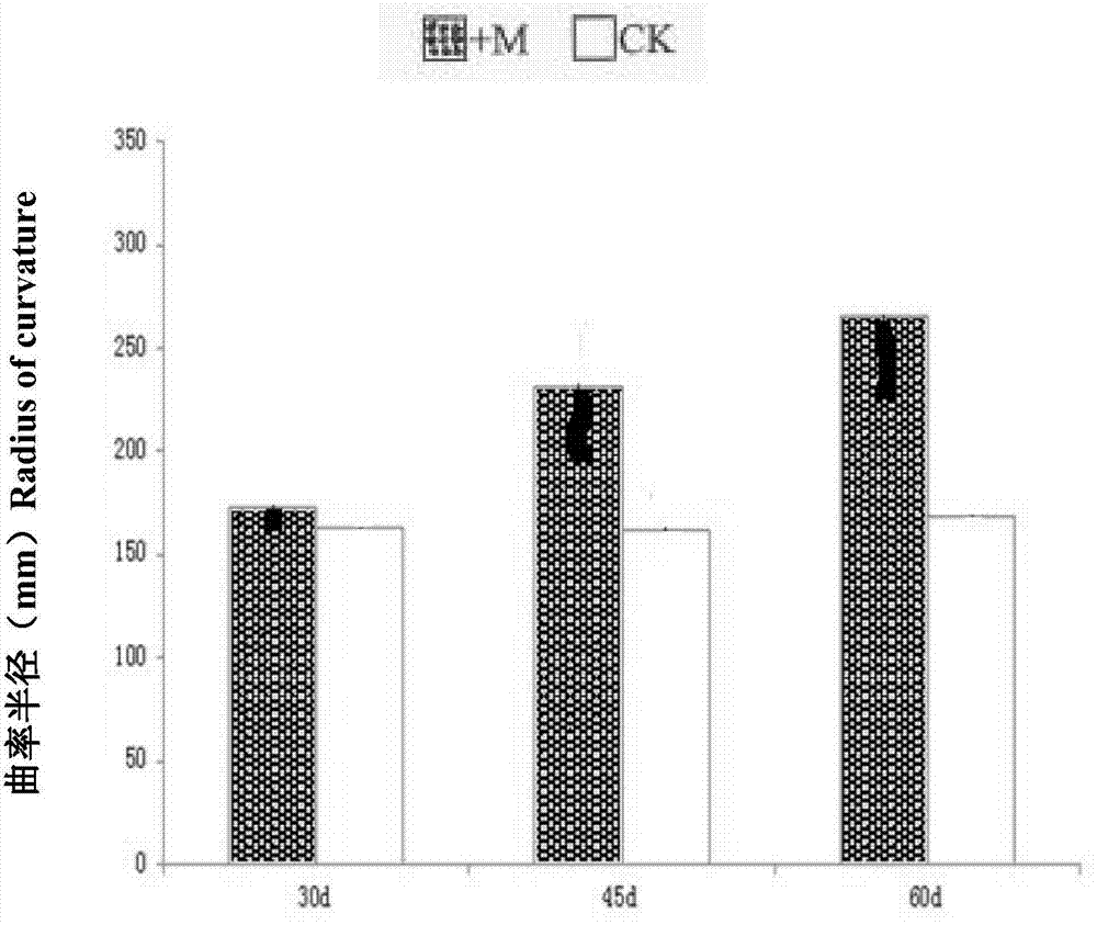 Method of measuring plant morphology by adopting three-dimensional laser scanner way