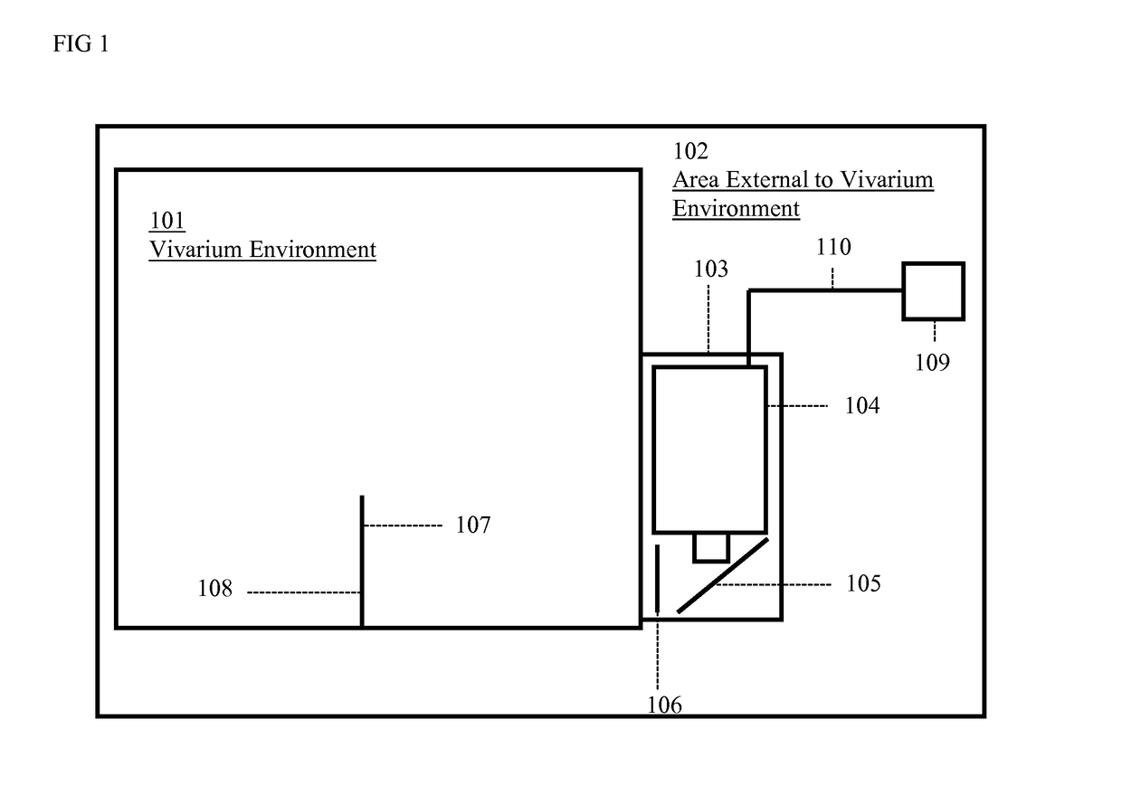 Vivarium dry and liquid projection