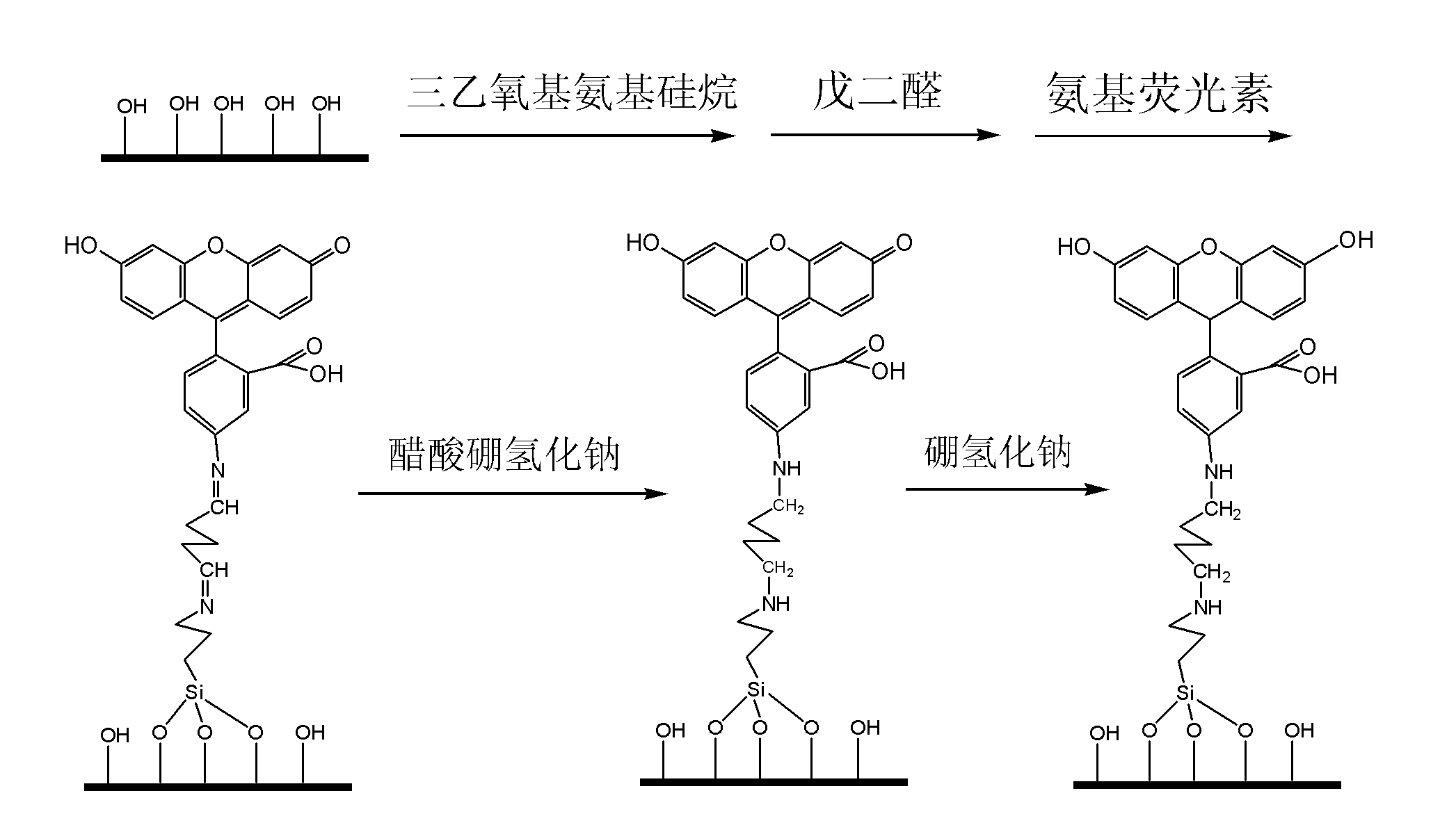 Silicon nano wire based sensor having selective fluorescence response on nitric oxide