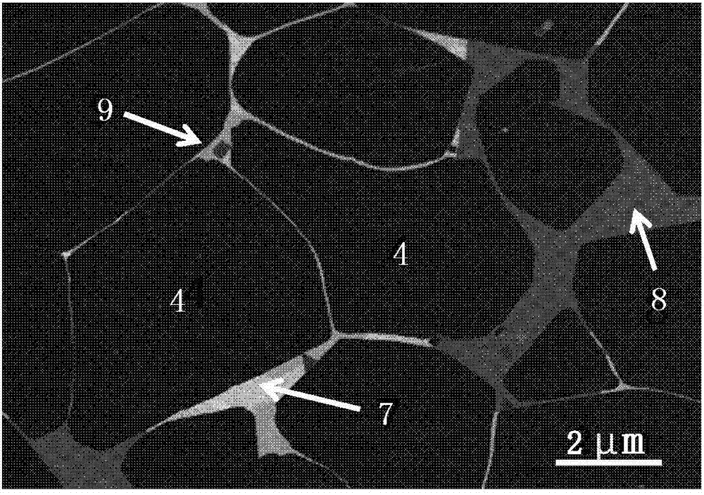 R-t-b based permanent magnet