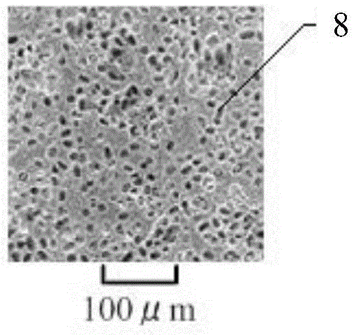 Sunshade device made of ceramic blades and preparation method of ceramic blades