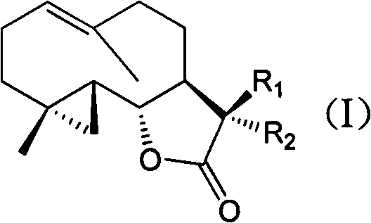 Costunolide derivative and pharmaceutical composition, preparation method and uses thereof