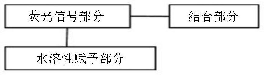 Water-soluble compound for detecting beta-amyloid protein