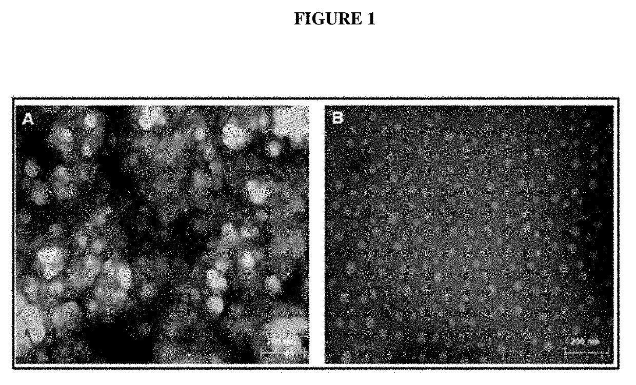 Edible bio-active films based on chitosan or a mixture of quinoa protein-chitosan; sheets having chitosan-tripolyphosphate-thymol nanoparticles; production method; bio-packaging comprising same; and use thereof in fresh fruit with a low ph