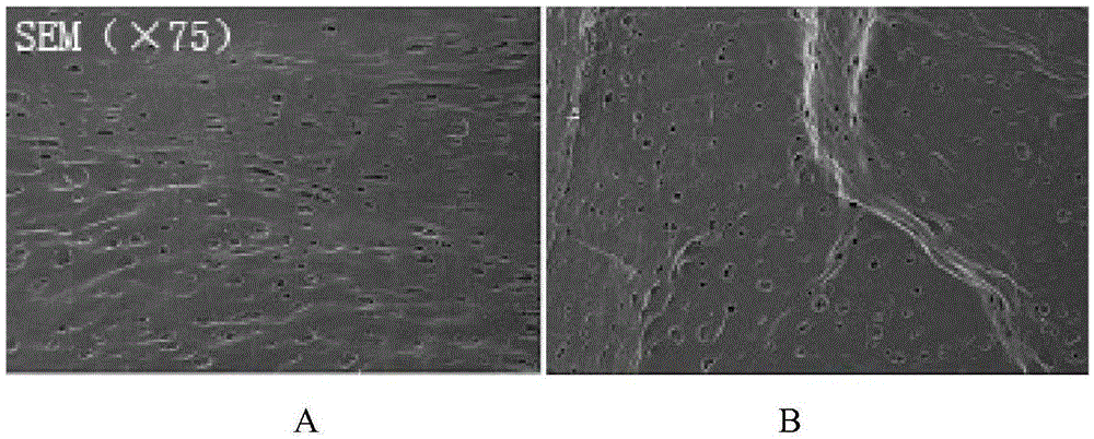 A kind of polysaccharide-dopamine composite biological glue and its application