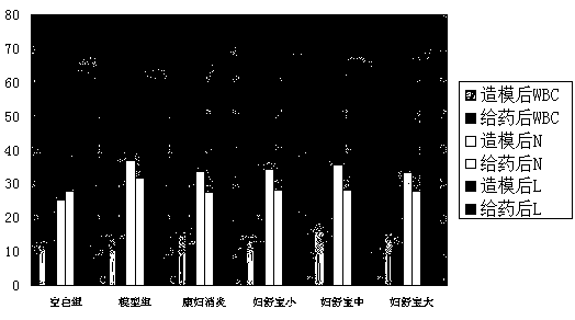 Traditional Chinese medicine for treating vaginitis, cervicitis and cervical erosion, preparation and preparation method thereof