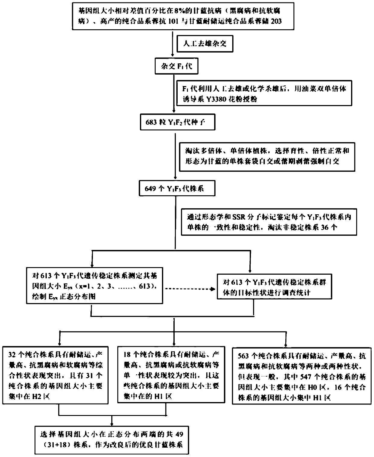 Method based on genome size and for improving cruciferous crop characters