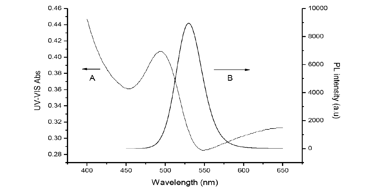 Quantum-dot-based method for carrying out in-situ and real-time detection on heavy metal ions in cells