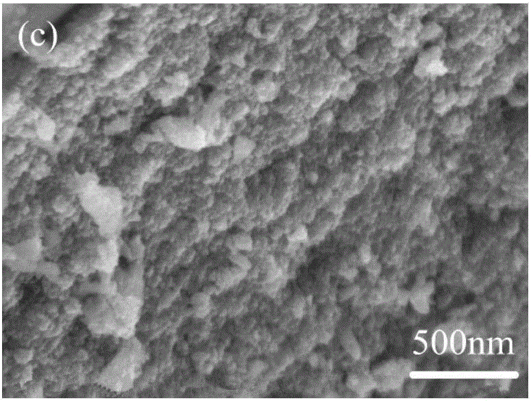 Preparation method of low-temperature plasma modified Mo-TiO2 photocatalyst