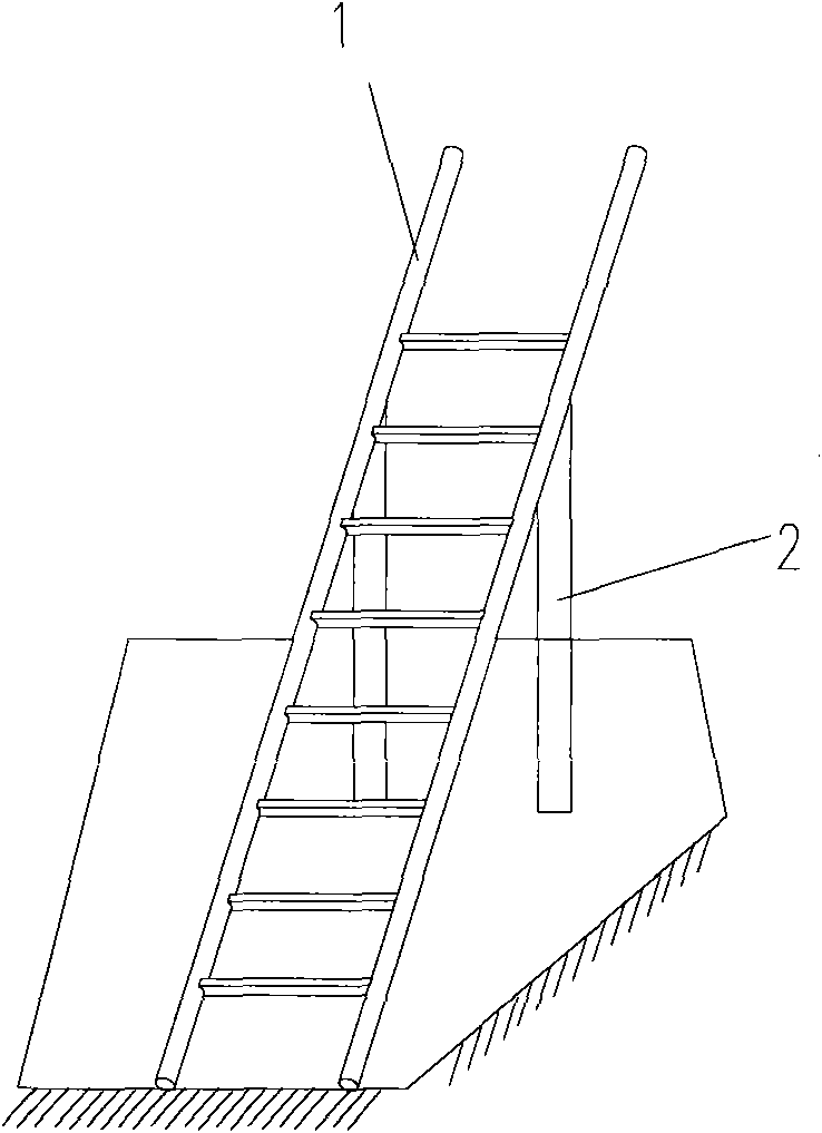 Ladder with self-supporting balancing device