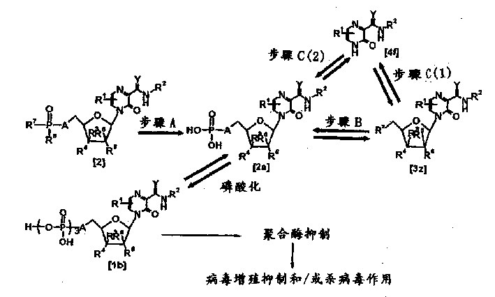 Novel virus proliferaton inhibition/virucidal method and novel pyradine nucleotide/pyradine nucleoside analogue