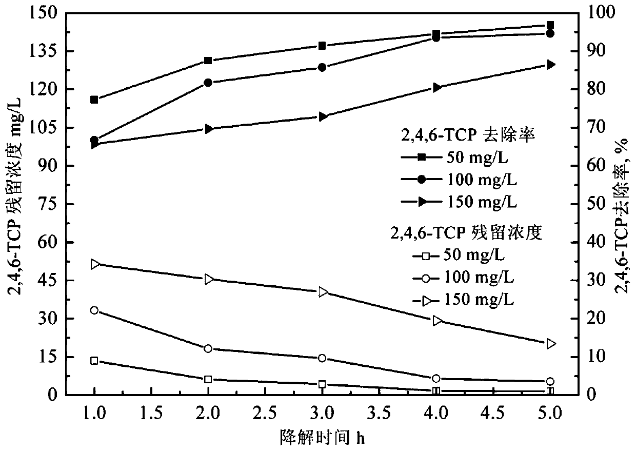 A method for screening electricity-producing functional bacteria capable of degrading chlorophenol, mixed bacteria obtained by screening and application