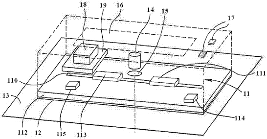 A Negative Refractive Index Photonic Crystal Type Bioluminescence Detector