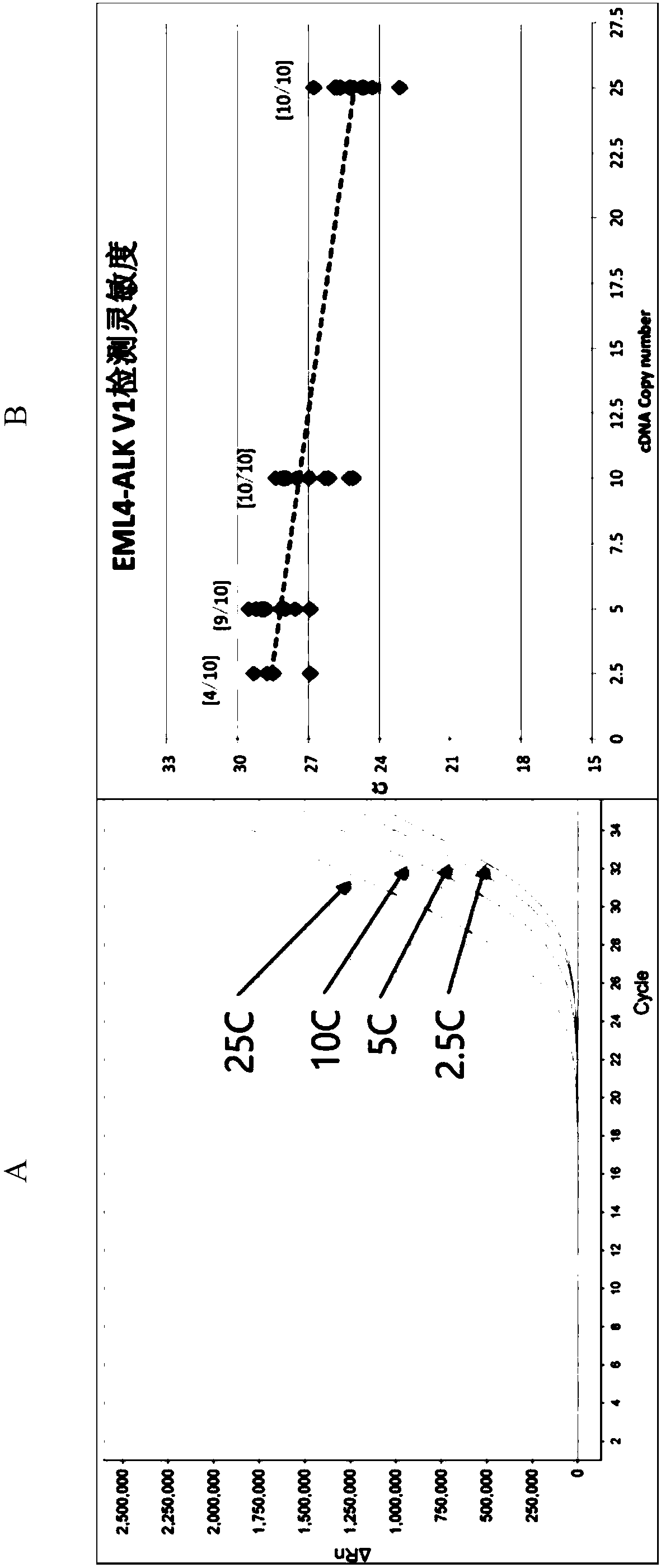 Primer for detecting EML4-ALK fusion gene based on vesicles and kit