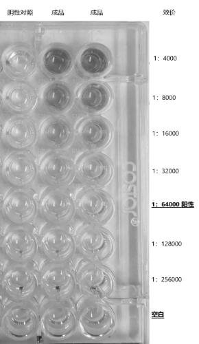 Anti-novel coronavirus antibody and preparation method and application thereof