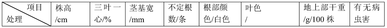 A kind of rice seedling raising substrate and its industrialized production method