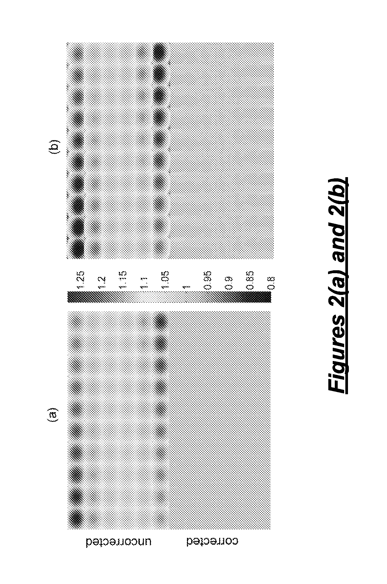 Error Analysis and Correction of MRI ADC Measurements for Gradient Nonlinearity