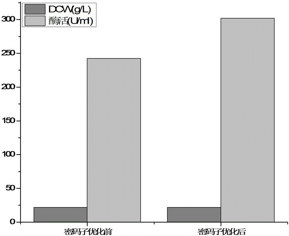 Strain capable of efficiently expressing alkaline pectinase and application of strain