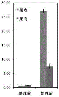 Method of inducing anthocyanin accumulations of skins and pulps of prunus salicina fruits after harvesting