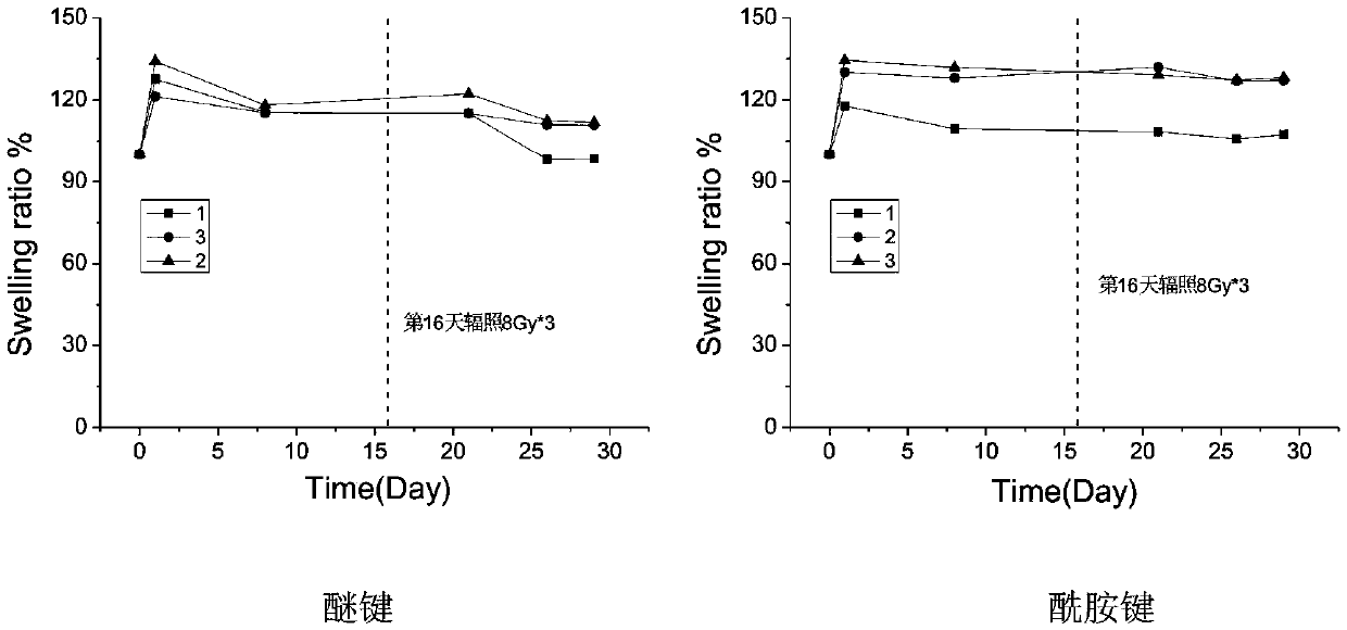 Medical hydrogel with radiation prevention effect