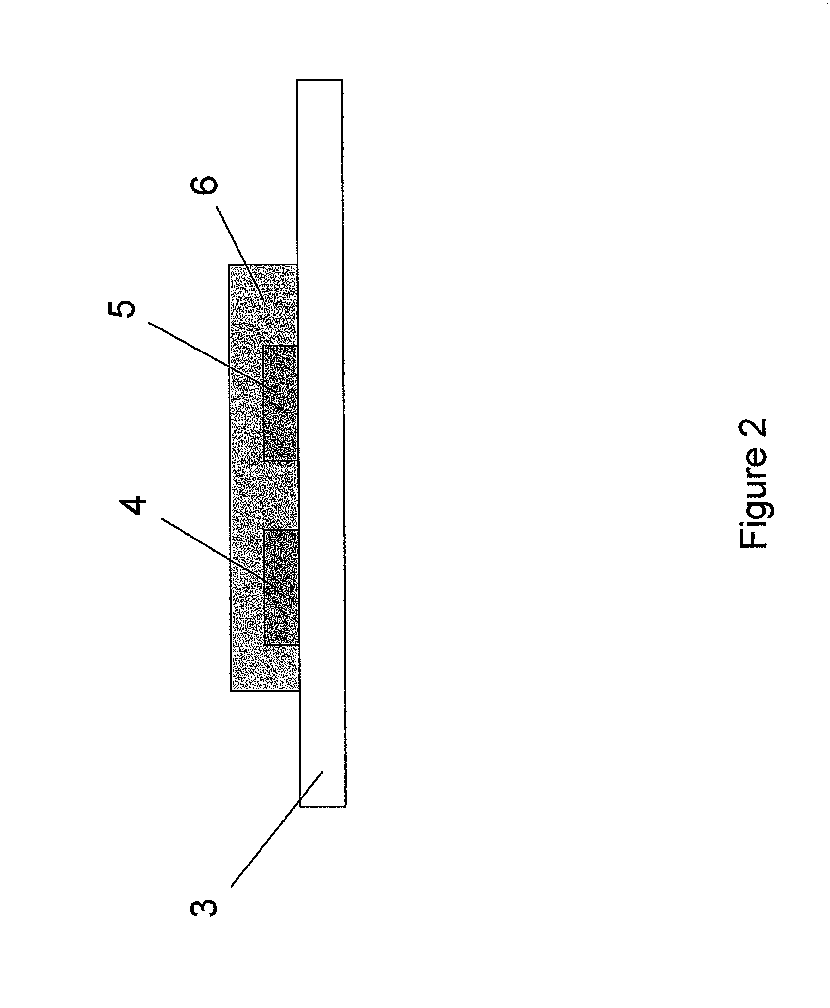 Distortion tolerant processing