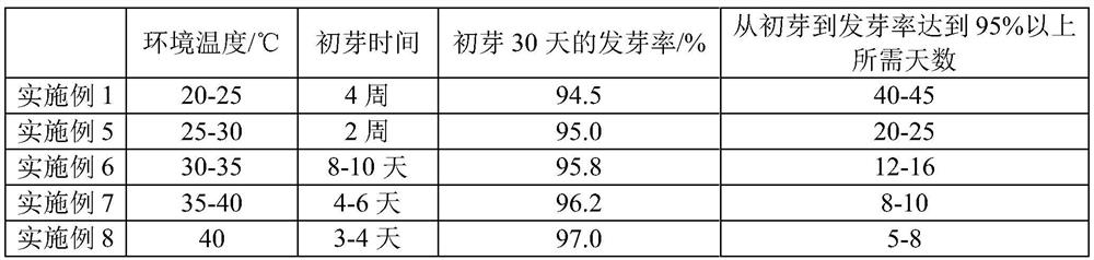 Propagation method of berry seed sowing