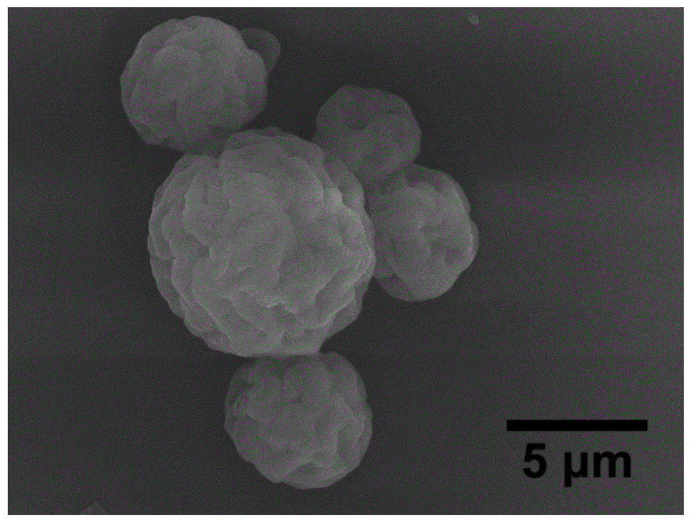 Liquid crystal microcapsule and preparation method thereof