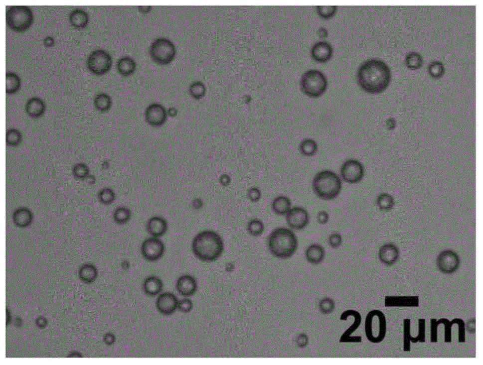 Liquid crystal microcapsule and preparation method thereof