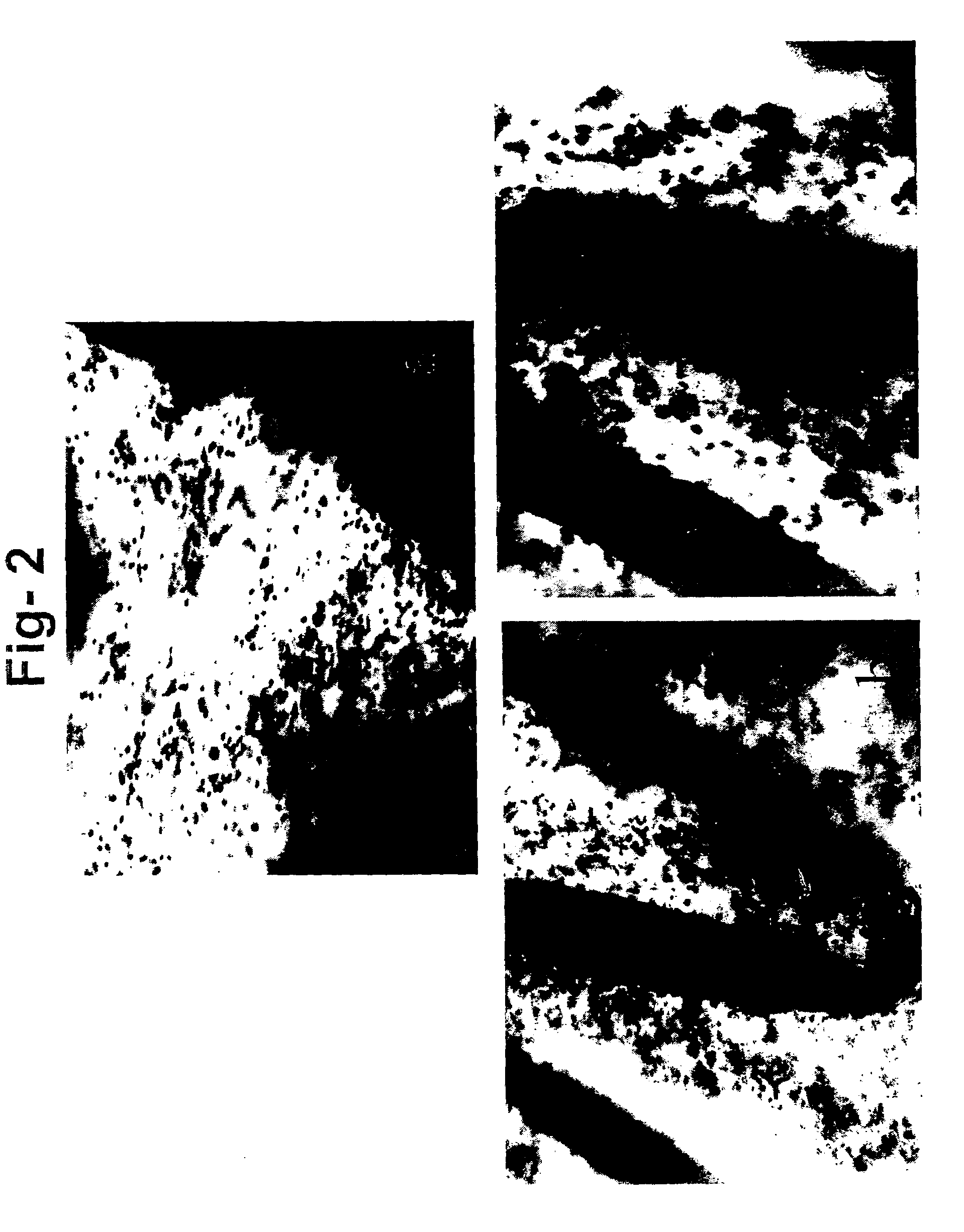 Composition derived from biological materials and method of use and preparation