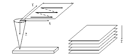 LED (light emitted diode) line scanning optical system applied to confocal microscopy