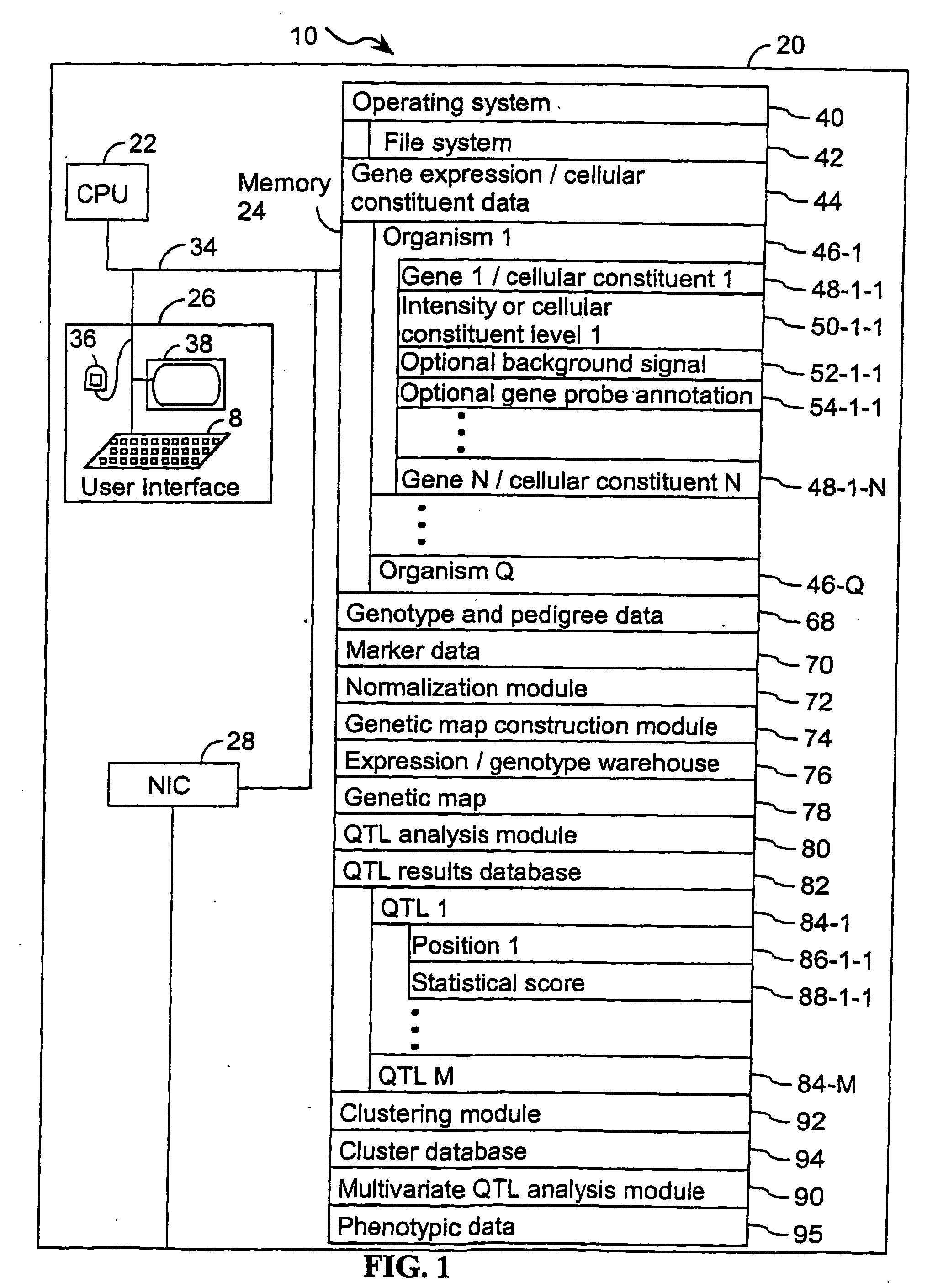 Computer systems and methods that use clinical and expression quantitative trait loci to associate genes with traits