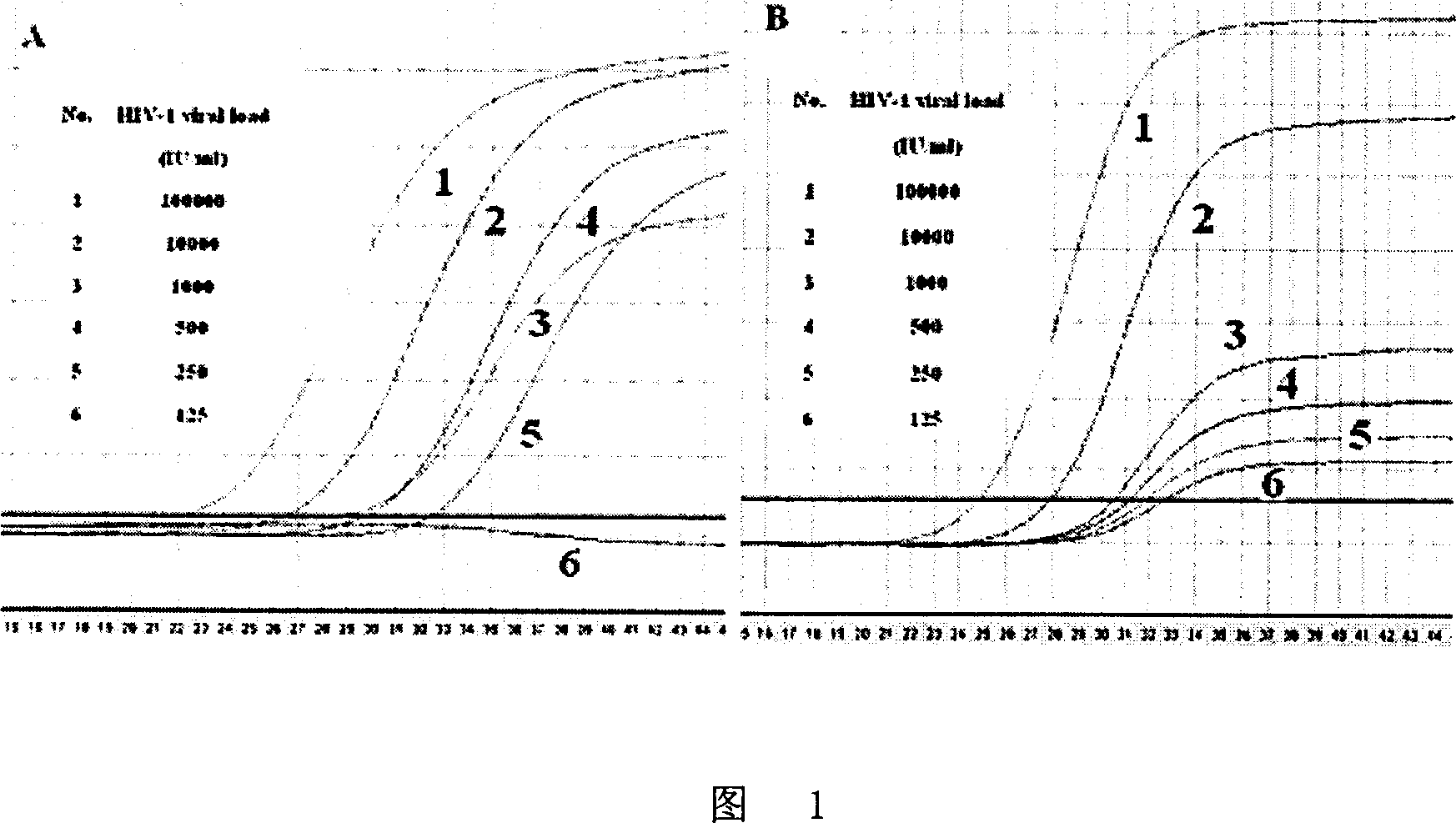 Nucleotide sequence for fast inspecting HIV virus, its method and extra-diagnostic reagent kit