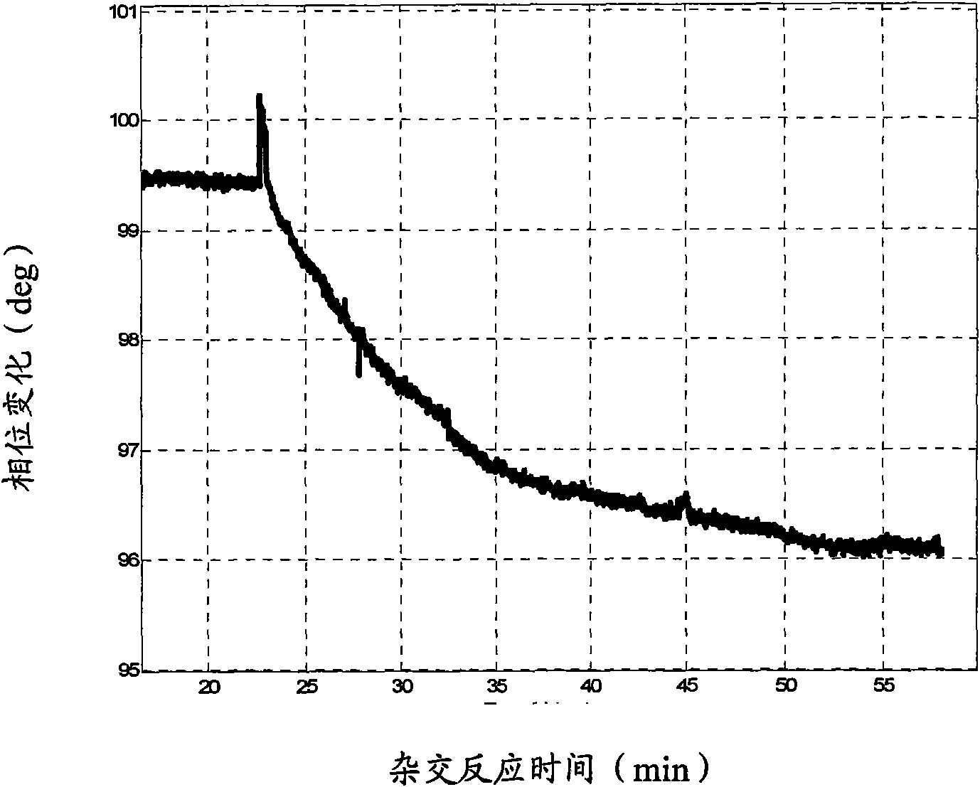 Signal amplifying method of leaky surface acoustic wave-binary peptide nucleic acid biosensor