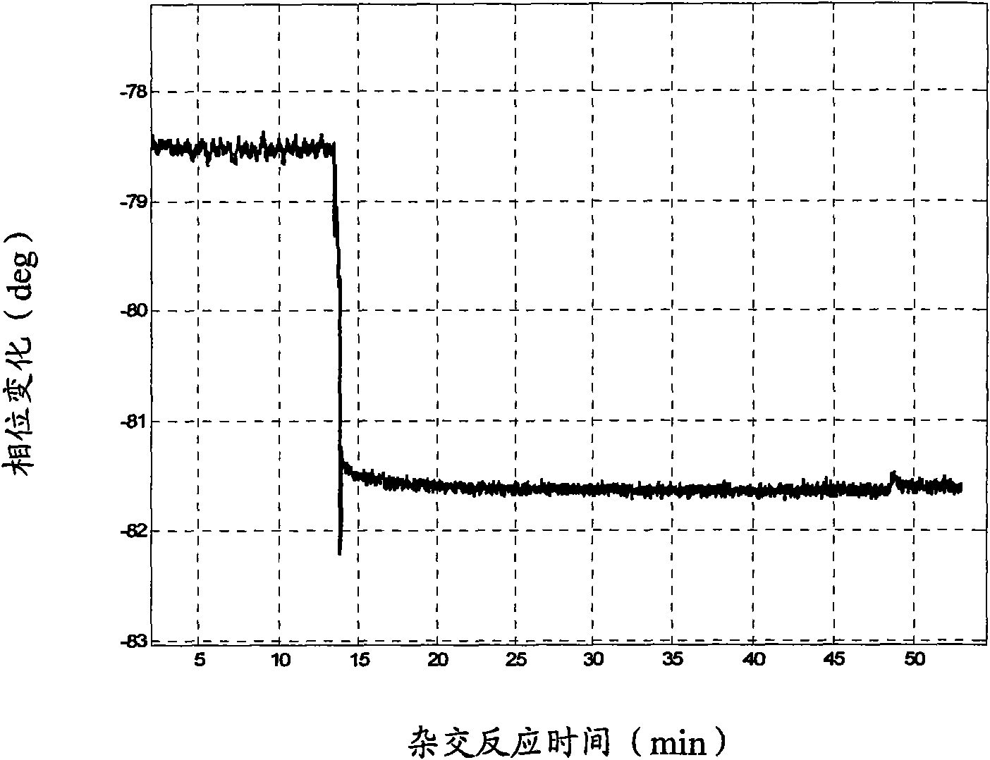 Signal amplifying method of leaky surface acoustic wave-binary peptide nucleic acid biosensor