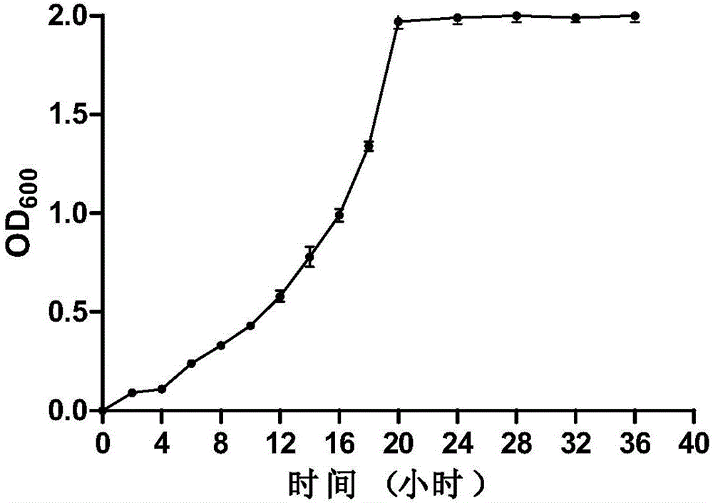 High-temperature-resistant aerobic denitrification bacteria and application of same