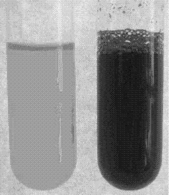 Synthetic method and extraction process of blue natural dye